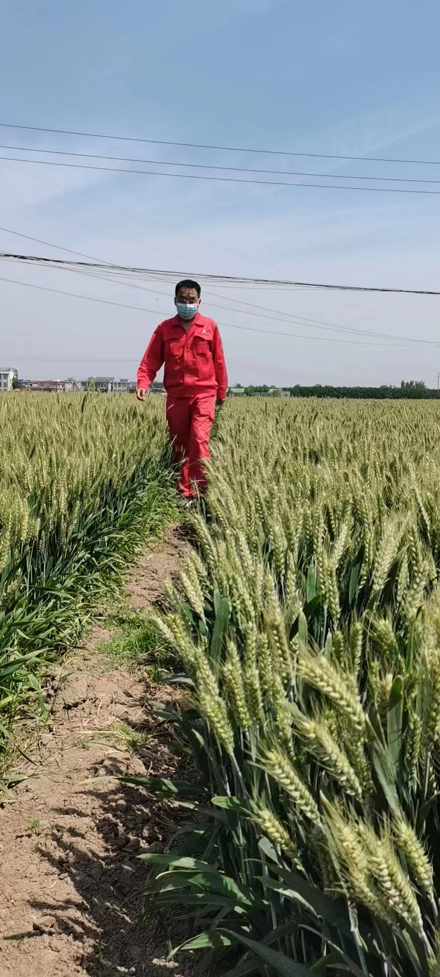 用心守護管道安全,全力保障豫北能源“生命線”——安彩能源開展安全檢查百里行主題黨日活動